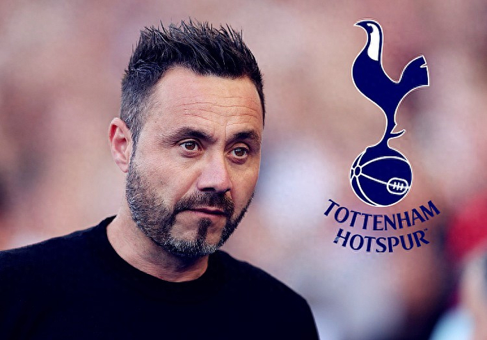 热刺紧急签约德泽尔比 保级战进入关键阶段